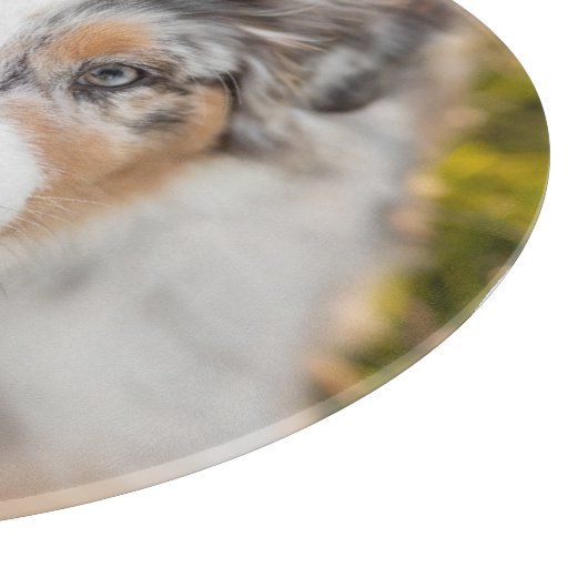 Kutest Baby Animals | Australische schapenhouderij Snijplank (Hoek)