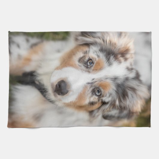 Kutest Baby Animals | Australische schapenhouderij Theedoek (Horizontaal)