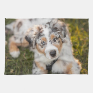 Kutest Baby Animals Australische schapenhouderij Theedoek