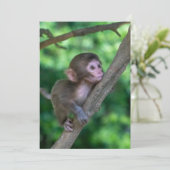 Kutest Baby Animals | Baby aap Bedankkaart (Staand voorkant)