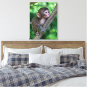 Kutest Baby Animals | Baby aap Canvas Afdruk (Insitu (Slaapkamer))
