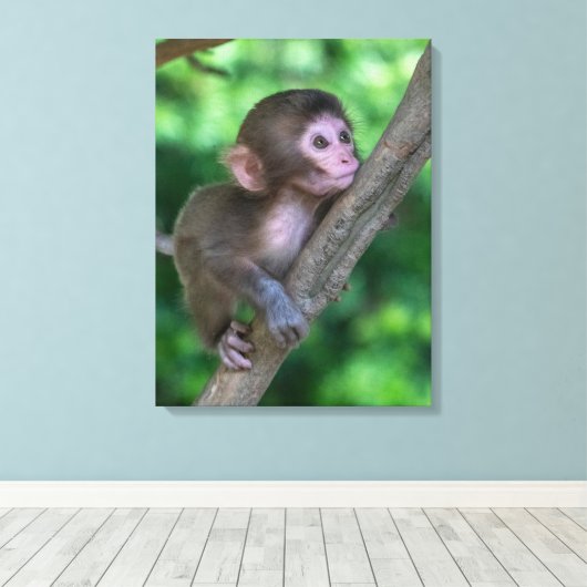 Kutest Baby Animals | Baby aap Canvas Afdruk (Insitu (Houten vloer))