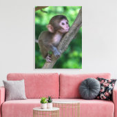 Kutest Baby Animals | Baby aap Canvas Afdruk (Insitu (Woonkamer))