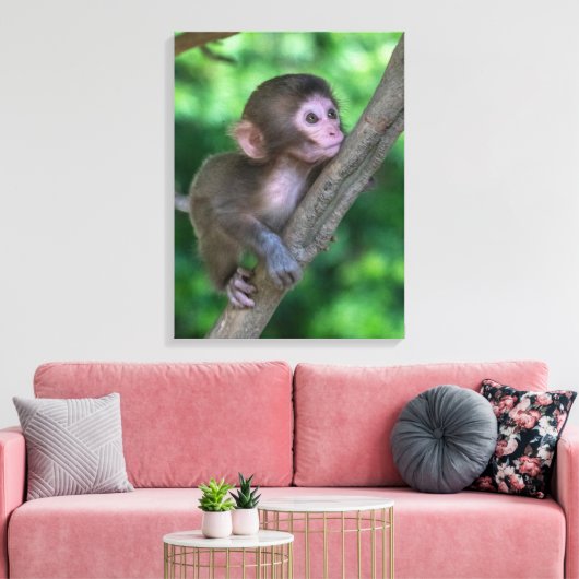 Kutest Baby Animals | Baby aap Canvas Afdruk (Insitu (Woonkamer))