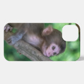 Kutest Baby Animals | Baby aap iPhone Hoesje (Achterkant horizontaal)