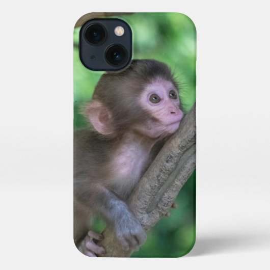 Kutest Baby Animals | Baby aap iPhone Hoesje (Achterkant)