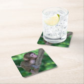 Kutest Baby Animals | Baby aap Kartonnen Onderzetters (Insitu)