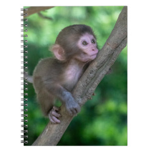 Kutest Baby Animals   Baby aap Notitieboek