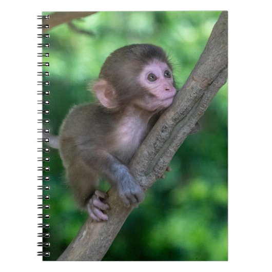 Kutest Baby Animals | Baby aap Notitieboek (Voorkant)