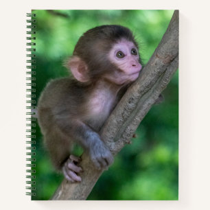 Kutest Baby Animals Baby aap Notitieboek
