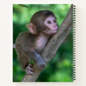 Kutest Baby Animals | Baby aap Notitieboek (Achterkant)