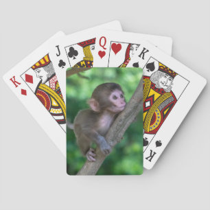Kutest Baby Animals Baby aap Pokerkaarten