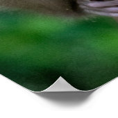 Kutest Baby Animals | Baby aap Poster (Hoek)