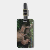 Kutest Baby Animals | Baby afspelen Bagagelabel (Voorkant verticaal)