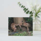 Kutest Baby Animals | Baby afspelen Briefkaart (Staand voorkant)