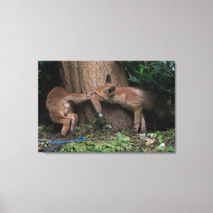 Kutest Baby Animals   Baby afspelen Canvas Afdruk