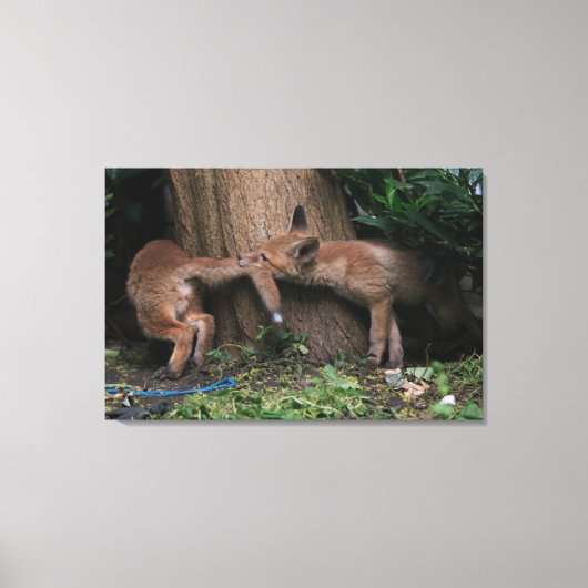 Kutest Baby Animals | Baby afspelen Canvas Afdruk (Voorkant)