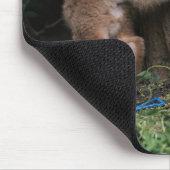 Kutest Baby Animals | Baby afspelen Muismat (Hoek)