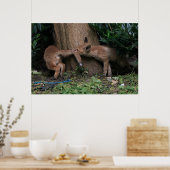 Kutest Baby Animals | Baby afspelen Poster (Keuken)