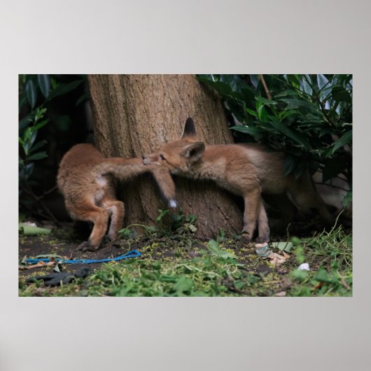 Kutest Baby Animals | Baby afspelen Poster (Voorkant)