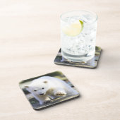 Kutest Baby Animals | BABY BEER Bier Onderzetter (Rechterzijde)