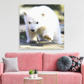 Kutest Baby Animals | BABY BEER Canvas Afdruk (Insitu (Woonkamer))