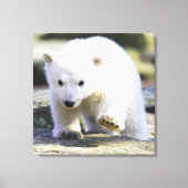 Kutest Baby Animals | BABY BEER Canvas Afdruk (Voorkant)