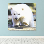 Kutest Baby Animals | BABY BEER Canvas Afdruk (Insitu (Houten vloer))