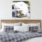 Kutest Baby Animals | BABY BEER Canvas Afdruk (Insitu (Slaapkamer))