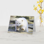 Kutest Baby Animals | BABY BEER Kaart (Gele Bloem)