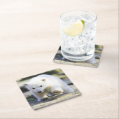 Kutest Baby Animals | BABY BEER Kartonnen Onderzetters (Insitu)