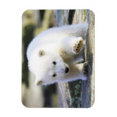 Kutest Baby Animals | BABY BEER Magneet (Verticaal)