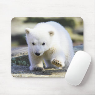Kutest Baby Animals BABY BEER Muismat