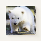 Kutest Baby Animals | BABY BEER Notitieboek (Achterkant)