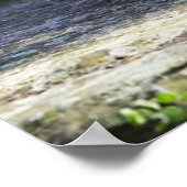 Kutest Baby Animals | BABY BEER Poster (Hoek)