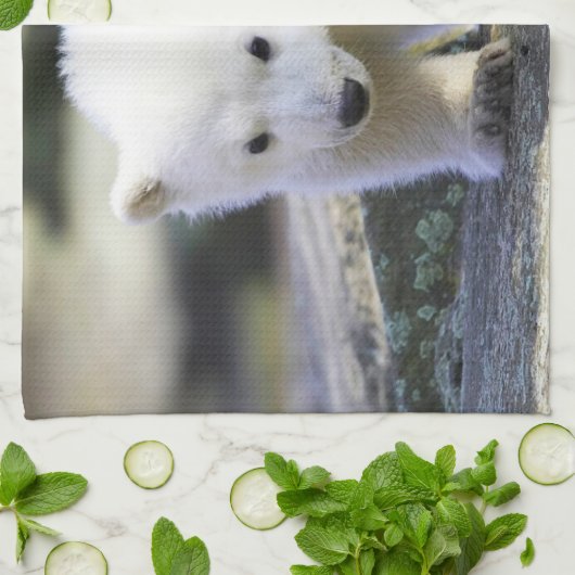 Kutest Baby Animals | BABY BEER Theedoek (Gevouwen)