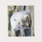 Kutest Baby Animals | BABY BEER Wandkleed (Voorkant)