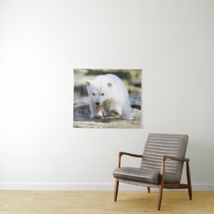 Kutest Baby Animals BABY BEER Wandkleed