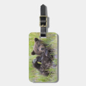 Kutest Baby Animals | Baby Bruine Beer Cub Bagagelabel (Voorkant verticaal)