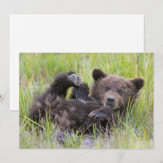 Kutest Baby Animals | Baby Bruine Beer Cub Bedankkaart (Voorkant / Achterkant)