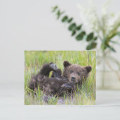 Kutest Baby Animals | Baby Bruine Beer Cub Briefkaart (Staand voorkant)