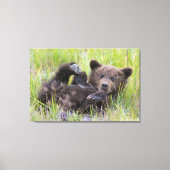Kutest Baby Animals | Baby Bruine Beer Cub Canvas Afdruk (Voorkant)