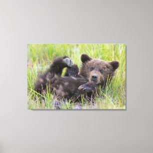 Kutest Baby Animals Baby Bruine Beer Cub Canvas Afdruk