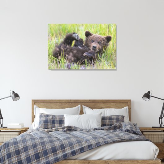 Kutest Baby Animals | Baby Bruine Beer Cub Canvas Afdruk (Insitu (Slaapkamer))