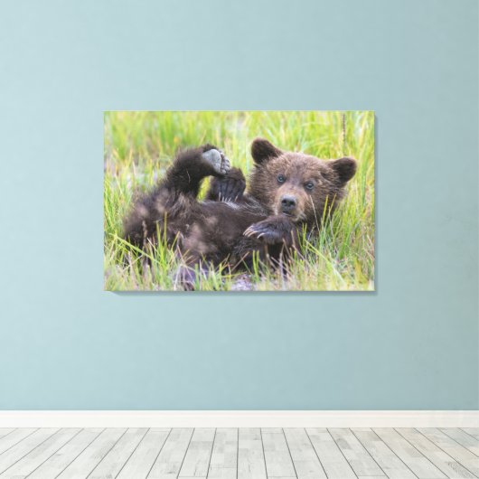 Kutest Baby Animals | Baby Bruine Beer Cub Canvas Afdruk (Insitu (Houten vloer))