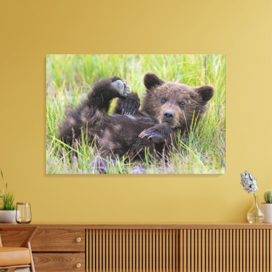 Kutest Baby Animals | Baby Bruine Beer Cub Canvas Afdruk (Insitu (Woonkamer))