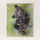 Kutest Baby Animals | Baby Bruine Beer Cub Legpuzzel (Verticaal)