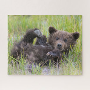 Kutest Baby Animals   Baby Bruine Beer Cub Legpuzzel