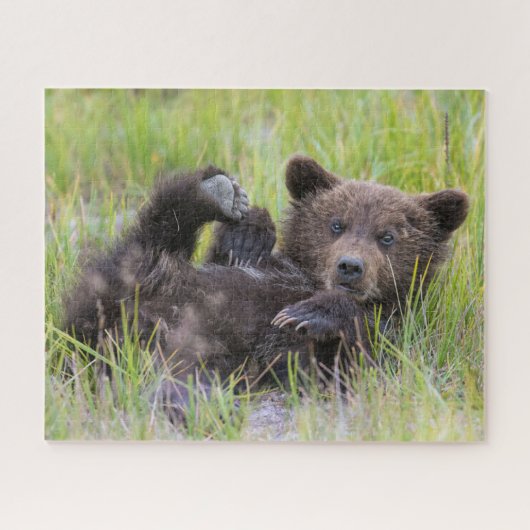 Kutest Baby Animals | Baby Bruine Beer Cub Legpuzzel (Horizontaal)
