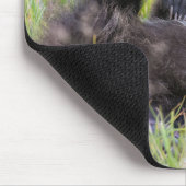 Kutest Baby Animals | Baby Bruine Beer Cub Muismat (Hoek)